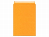 角2カラーオレンジ100g枠無サイド貼エルコン付 (無地封筒)