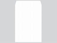 角2プライバシー保護ホワイト100g枠無サイド貼エルコン付(無地封筒)