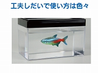 上部の黒いフタの部分にキリ等で小さな穴をあければ、小さな水槽として魚を飼ったり昆虫飼育にも活用出来ます。デスク上にマリモを飼ったりすれば疲れた日常からも少し解放されるかも…。使い終わったケースも工夫次第で色々な使い方が出来ます。 名刺ケース フィギュアタイプ