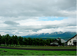 北海道旅行7