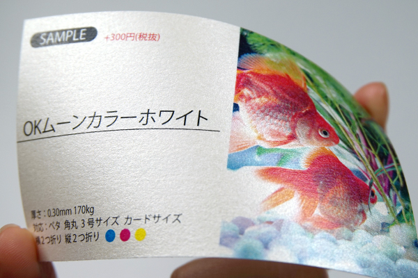 企業 法人向け Web名刺発注システム