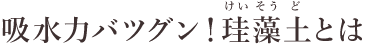 吸水力バツグン！珪藻土とは