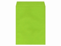 角2カラーグリーン100g枠無サイド貼 (無地封筒)