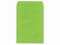角2カラーグリーン100g枠無サイド貼エルコン付 (無地封筒)